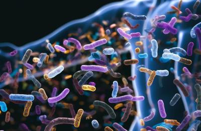 Microbiomul, noua frontieră a medicinei personalizate