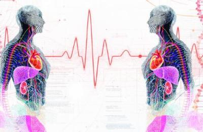 Sy.Me.Di. <br> Systemic Metabolic Disorders <br> București